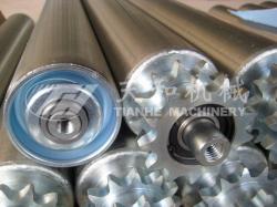 TH2321型 鋼制(zhi)雙鏈輥筒